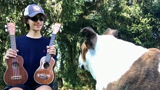 Video thumbnail for KALA UKULELE SHOWDOWN | KA-S v.s KA-SLNG by Chasing Frets
