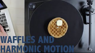 Waffles And Harmonic Motion [Part 1]