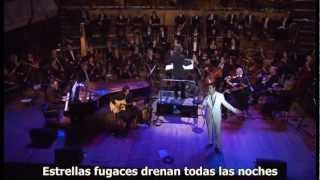Serj Tankian :: Falling Stars Sub. Español :: Elect The Dead Symphony 2010 [HD] [HQ]