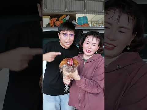 Mèo Thì Kêu Sao Nè ?