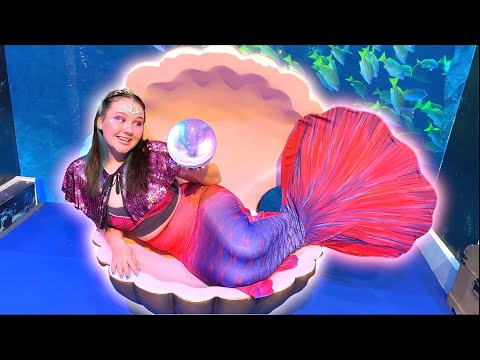 Ruby and Bonnie become a real life Mermaid at the Mermaids of Arabia in Dubai