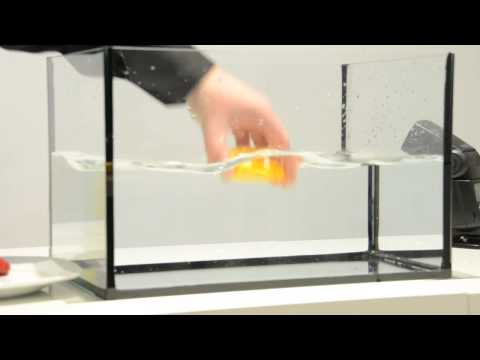 How to Create Fresh Fruits In Water Splash Photography