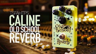 Video thumbnail for Caline 'Old School Reverb' by TheSuperFunAwesomeHappyTimePedalShow