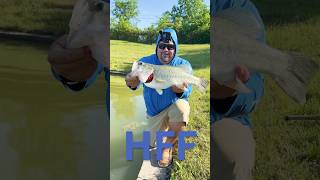 Big Bass in Retention Pond!!#bassfishing #bucketlist