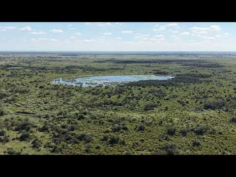 Campo en venta Esteban Rams