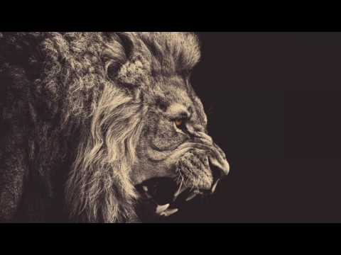 Danny Red - Roar Like a Lion
