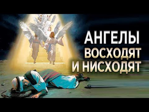 #190 Ангелы восходят и нисходят - Алексей Осокин - Библия 365 (2 сезон)