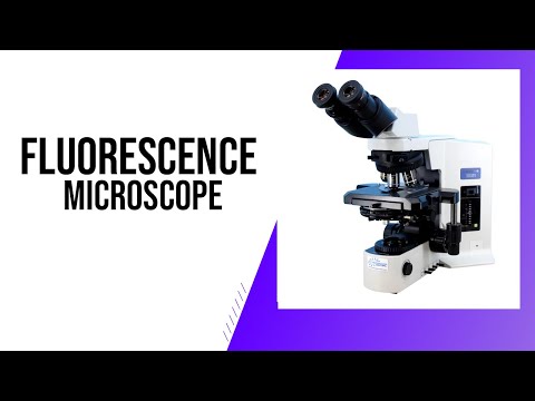 What is " Fluorescence Microscope " ? | Clear Explain