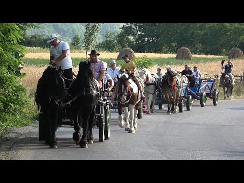 Parada cailor Gilau, Cluj 9 Iulie 2021 Nou!!!