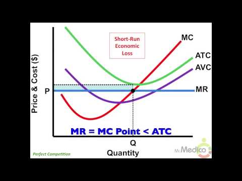 Perfect Competition - What You Must Know in 4 Minutes - Microeconomics