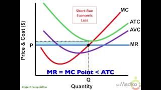 Perfect Competition - What You Must Know in 4 Minutes - Microeconomics