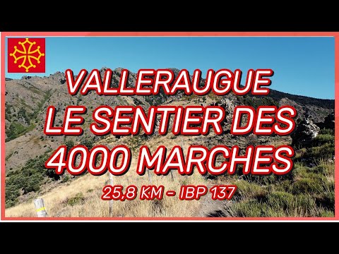 Mont Aigoual -  Le sentier des 4000 marches - 25,8 km - IBP 137 - 🌞🌞🌞🌞