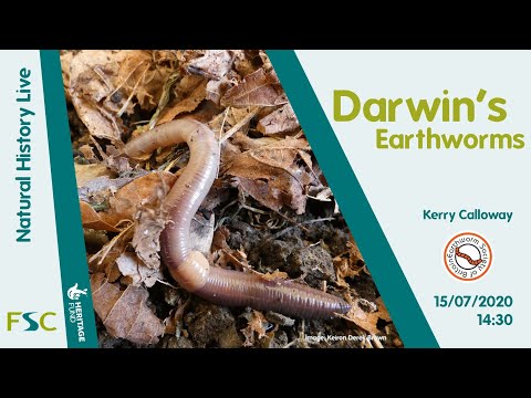 Darwin's Earthworms