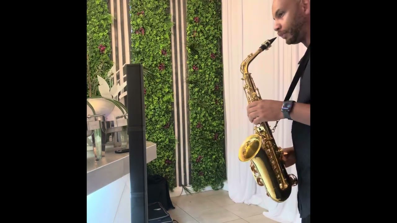 Promotional video thumbnail 5 for Leo Saxophone