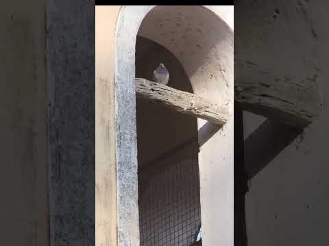 Ruinas Jesuitas de Lules