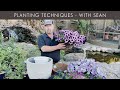 Let's Talk Planting Techniques for Annuals 🌸 Pro Talk with Sean at The Gardener's Center
