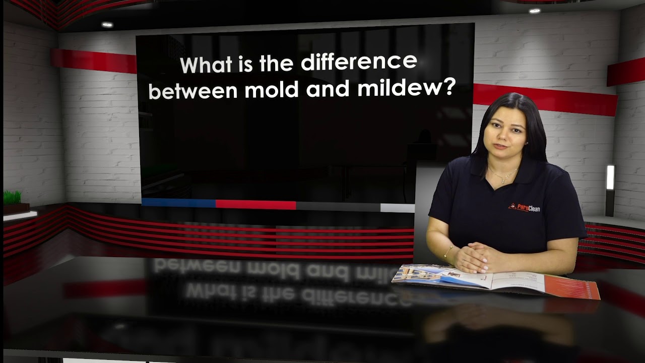 What is the difference between mold and mildew?