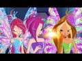 Winx Club Season 5, Episode 22: Tecna's Wish!