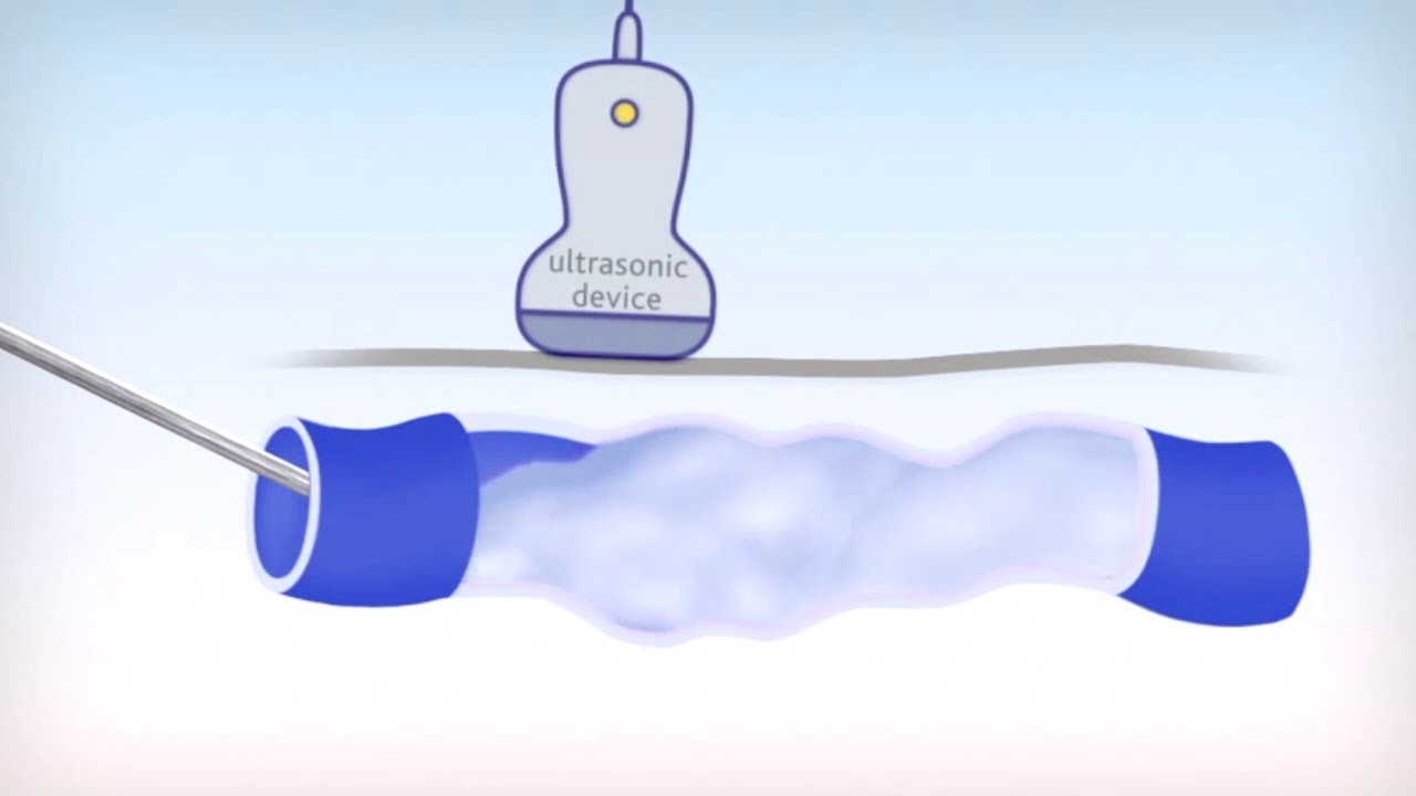 Danielle Milani Bernardes-15