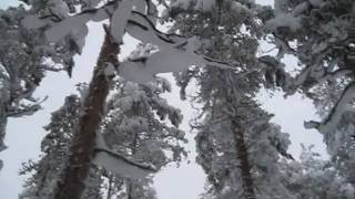 preview picture of video 'Midwinter moments in Suonenjoki, Finland 2010'