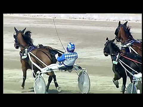 Napoli Trotto 25/03/2022 - 1ª corsa