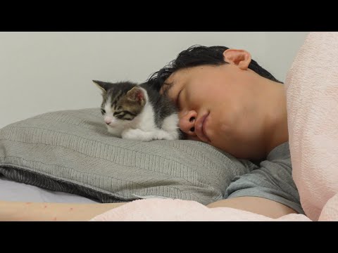 What Happens When You Sleep with a Baby Kitten!