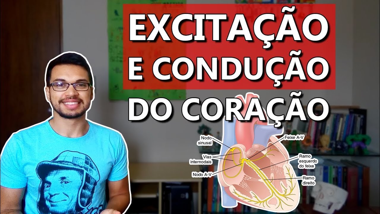 Excitação e Condução Elétrica do Coração [Cardio 04]