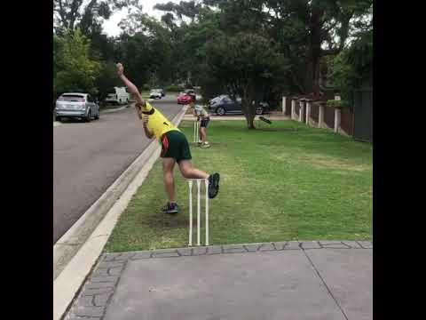 Mitch Starc ball to Brendan McCullum World Cup Final 2015 - remake