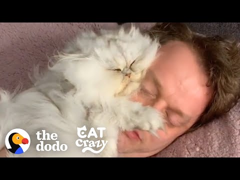 Guy Tucks His Cat Into His Own Little Bed Every Night | The Dodo Cat Crazy