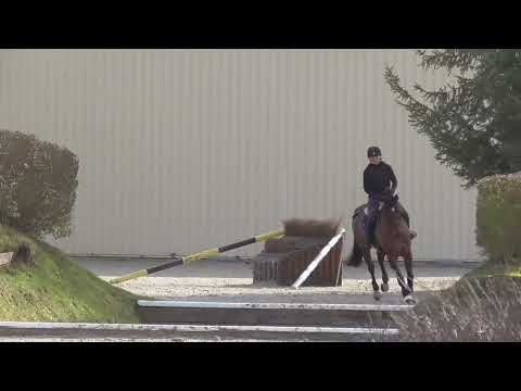 2022 02 13 Lagona - Geländetraining in Warendorf