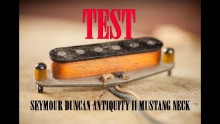 Seymour Duncan Antiquity II Mustang - What To Know & Where To Buy