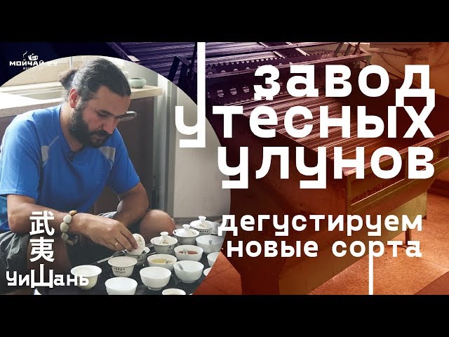 Уишань. Завод утёсных улунов. Дегустируем новые сорта