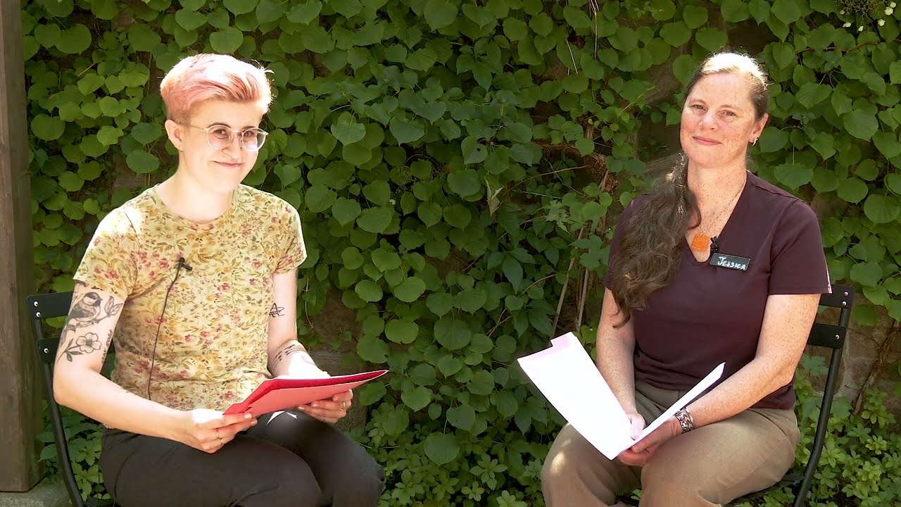 AFL September Events