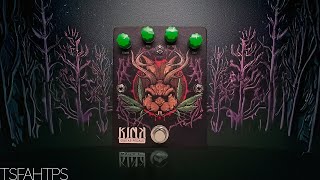 Now that's what a MUFF FUZZ should sound like...!!! Kink Pedals Jackalope Fuzz