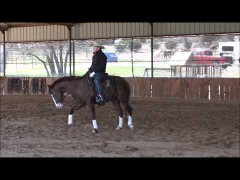 lot 36 shining smoking gun