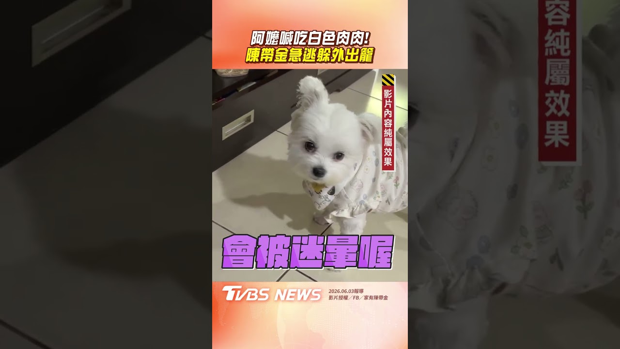 影音/阿嬤出招誘惑喊「吃白色肉肉」 汪孫陳帶金急逃跑滿臉拒