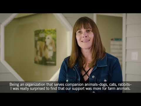 download lagu mp3 mp4 Napa Spca, download lagu Napa Spca gratis, unduh video klip Napa Spca