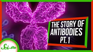 How We Co-opted the Immune System's Targeted Weaponry | Antibodies Series Part 1