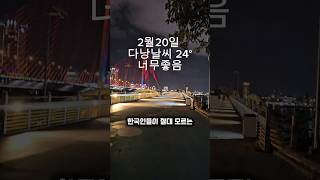 ​다낭 실시간 날씨 상황 구정연휴 끝 산책하자!!