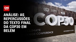 Vídeo: Análise: COP30 termina com divergências sobre combustíveis fósseis | WW