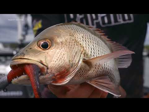 Shad Rapala CrushCity Heavy Hitter 10cm B