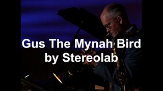 Live Looping &amp; Trumpet Improv on 'Gus The Mynah Bird' by Stereolab