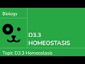 Homeostasis IB Biology Timestamps: Glucose Regulation & Feedback Loops Explained