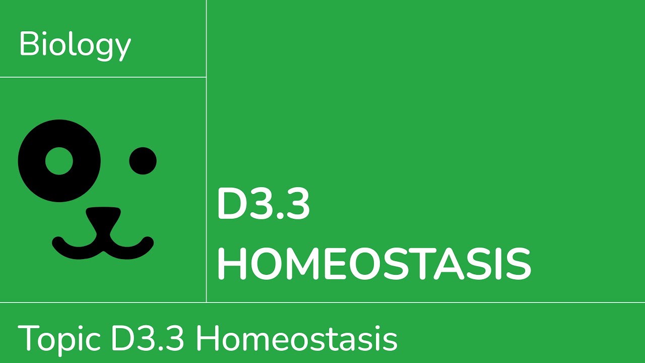 D3.3 Homeostasis [IB Biology SL/HL]