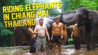 Riding Elephants In Chiang Mai Thailand