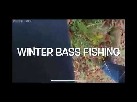 PESCA AI BASS INVERNALI