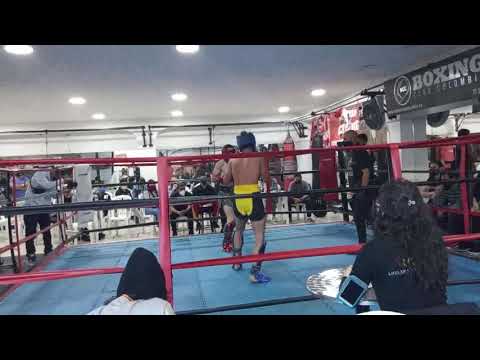 Kick Boxing / Alejandro / TEAM MINOTAURUS