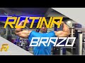 RUTINA DE BRAZOS PARA VOLUMEN Y CALIDAD MUSCULAR EN 4 SEMANAS | FERNANDO VALDEZ