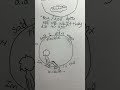 Boy in the bubble lyric art #bubble #boy #art #lyrics
