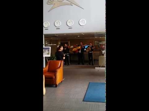 Zulma s birthday mariachi